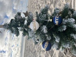 Zeige Details für Weihnachtskugel Grömitz Bild von Weihnachtskugel Grömitz