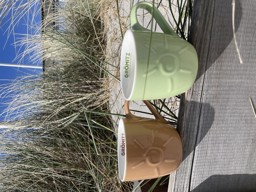 Zeige Details für Sonnenbecher Bild von Sonnenbecher